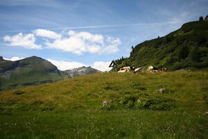 Gamsleitenspitze v hundsfeldsee 31544 2016-08-04.jpg