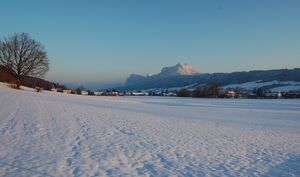 Thalgau im winter 017.jpg