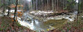 Wildbachszenerie im Fischbachgraben am Thalgauberg.jpg