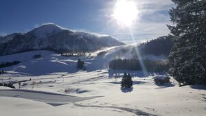 2017-12-10 Braunedlkogel im Winter.jpg