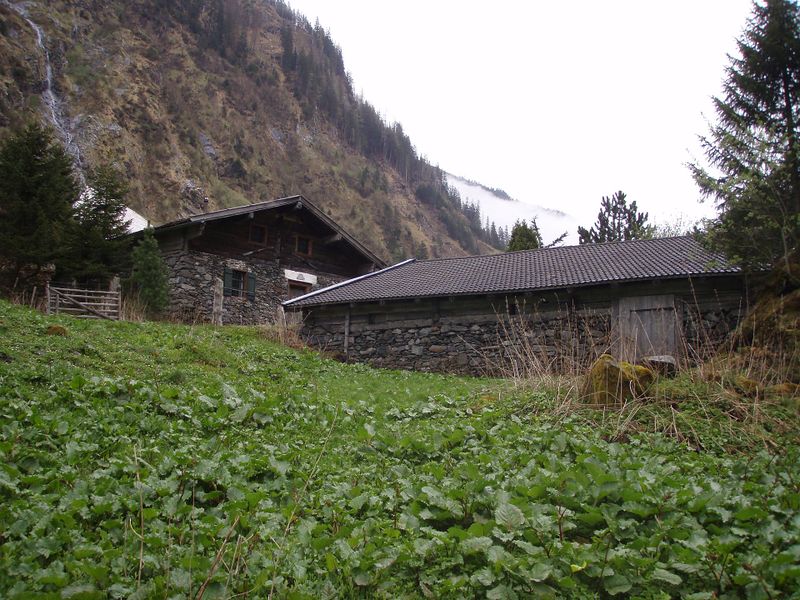 Datei:Lägerflur, Erlbachalm, Amertal.jpg