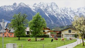 Michael-Neureiter-Weg (Kuchl).jpg