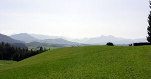 Dichtlalmaussicht.jpg