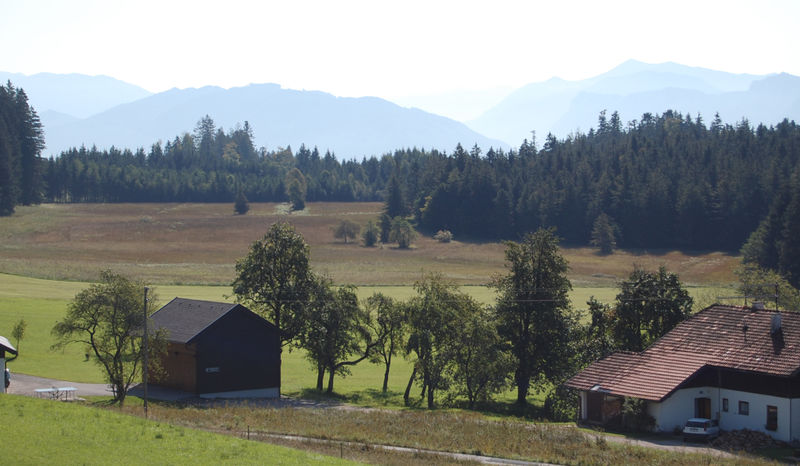 Datei:Holzinger 004.jpg