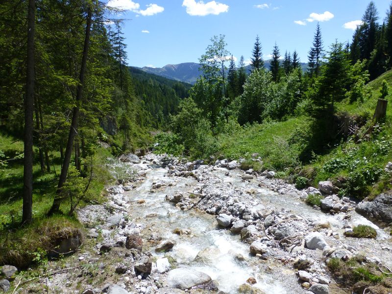 Datei:Krallerbach 2.jpg