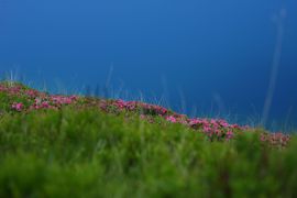 Schönalmsee, obere 29889 2016-07-10.jpg