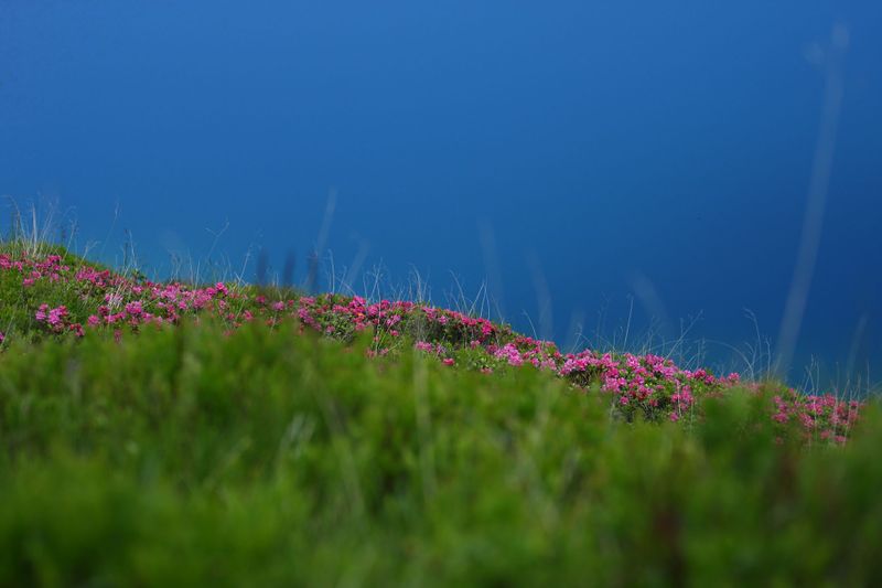 Datei:Schönalmsee, obere 29889 2016-07-10.jpg