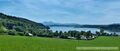 Wallersee Ostbucht Neumarkt 3.jpg