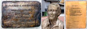 Hermann Collage.jpg
