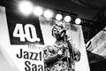 Jazzfestival Saalfelden 2019 04.jpg