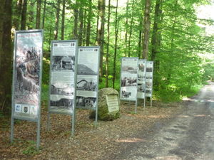 P1010289.JPG