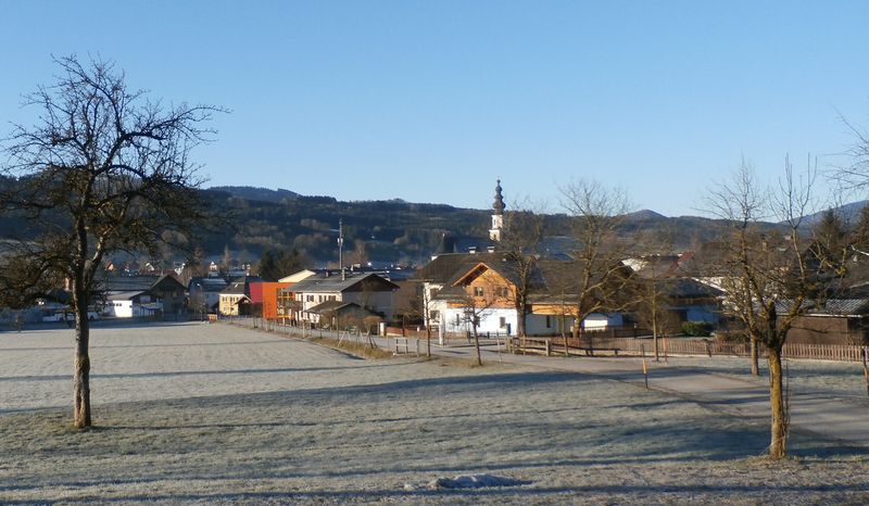 Datei:Pfarrhofallee am Morgen.jpg