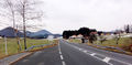 Wolfgangsee Straße.jpg