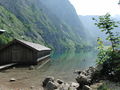 Obersee, Nordufer.JPG