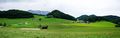 Panoramabild Ellmau, Marktschellenberg.jpg