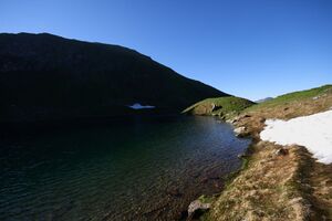 Twenger almsee 18368 2010-07-08.jpg