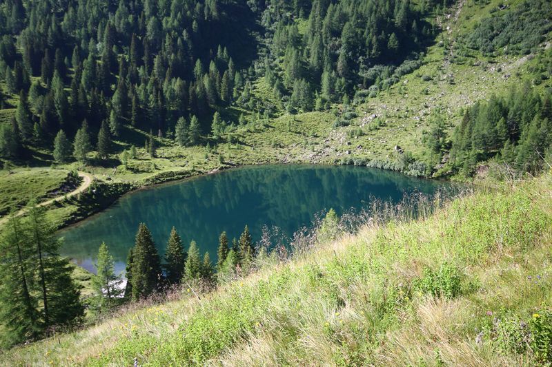 Datei:Wirpitschsee, unterer 29556 2016-07-10.jpg
