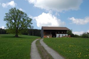 Hörandl DSC 0109.JPG