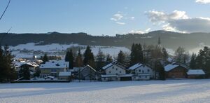 P2010037.JPG