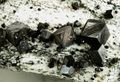 004c Kluftmagnetite in Form von Rhombendodekaeder auf Gneis.JPG