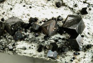 004c Kluftmagnetite in Form von Rhombendodekaeder auf Gneis.JPG
