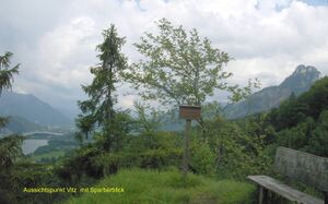 Aussichtspunkt Vitz mit Sparberblick.jpg