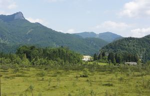 Deutschvilla, westliche Ansicht vom Strobler Moor aus.jpg