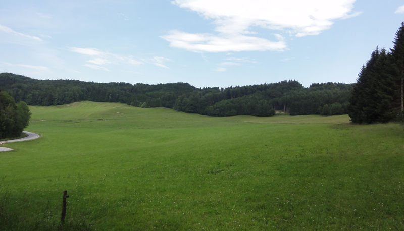 Datei:Die Wiesen von Pabenschwand.jpg
