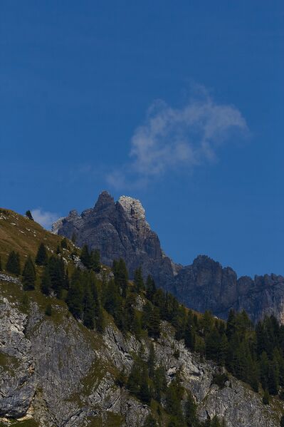 Datei:Faulkogel-0287-2021-09-14.jpg