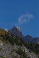 Faulkogel-0287-2021-09-14.jpg