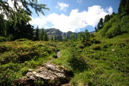 Schönalm weißpriach 29784 2016-07-10.jpg