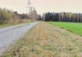 Der Weg ins Weidmoos, rechts die Schienen der früheren Moorbahn.jpg