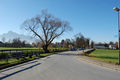 Ernst-Grein-Straße, östlicher Beginn.JPG