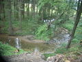 Fischbach am Thalgauberg-Hochwassespuren 056.jpg