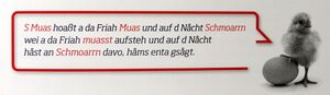 Humorvolle Sprüche in Henndorf vazöht.jpg