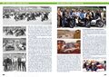Speichenrad 2017 07.jpg