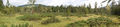 Wasenmoos Panorama 18.8.09.jpg