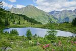 Wirpitschsee 18399 2011-07-09.jpg