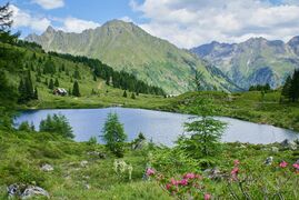 Wirpitschsee 18399 2011-07-09.jpg
