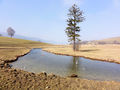 Zeller Ache im Naturschutzgebiet.jpg