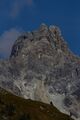 Faulkogel-0303-2021-09-14.jpg
