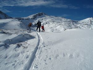 Im fuchskar 88361 2007-02-14.jpg