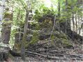 Naturdenkmal Hochstein in Koppl.jpg