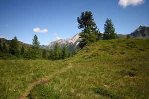 Schönalm weißpriach 29781 2016-07-10.jpg