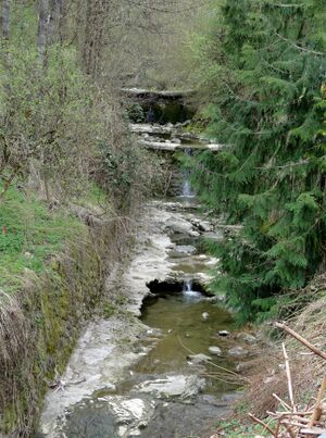 Alterbachverlauf in Bereich der Glockmühlstraße in Obergnigl.jpg