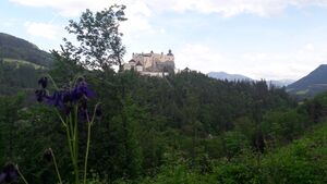 Burg Hohenwerfen 20220521 4.jpg