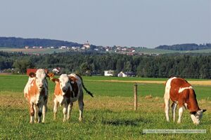 Dorfbeuern Ortszentrum 2013.jpg