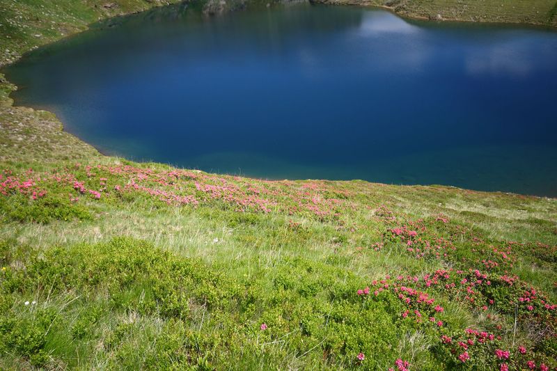 Datei:Schönalmsee, obere 29877 2016-07-10.jpg