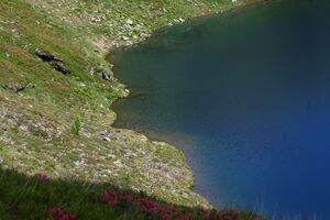 Schönalmsee, obere 29886 2016-07-10.jpg