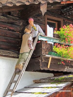 2013 08 27 Filzmoos Hinterwinkl Unterhofalm 08.jpg